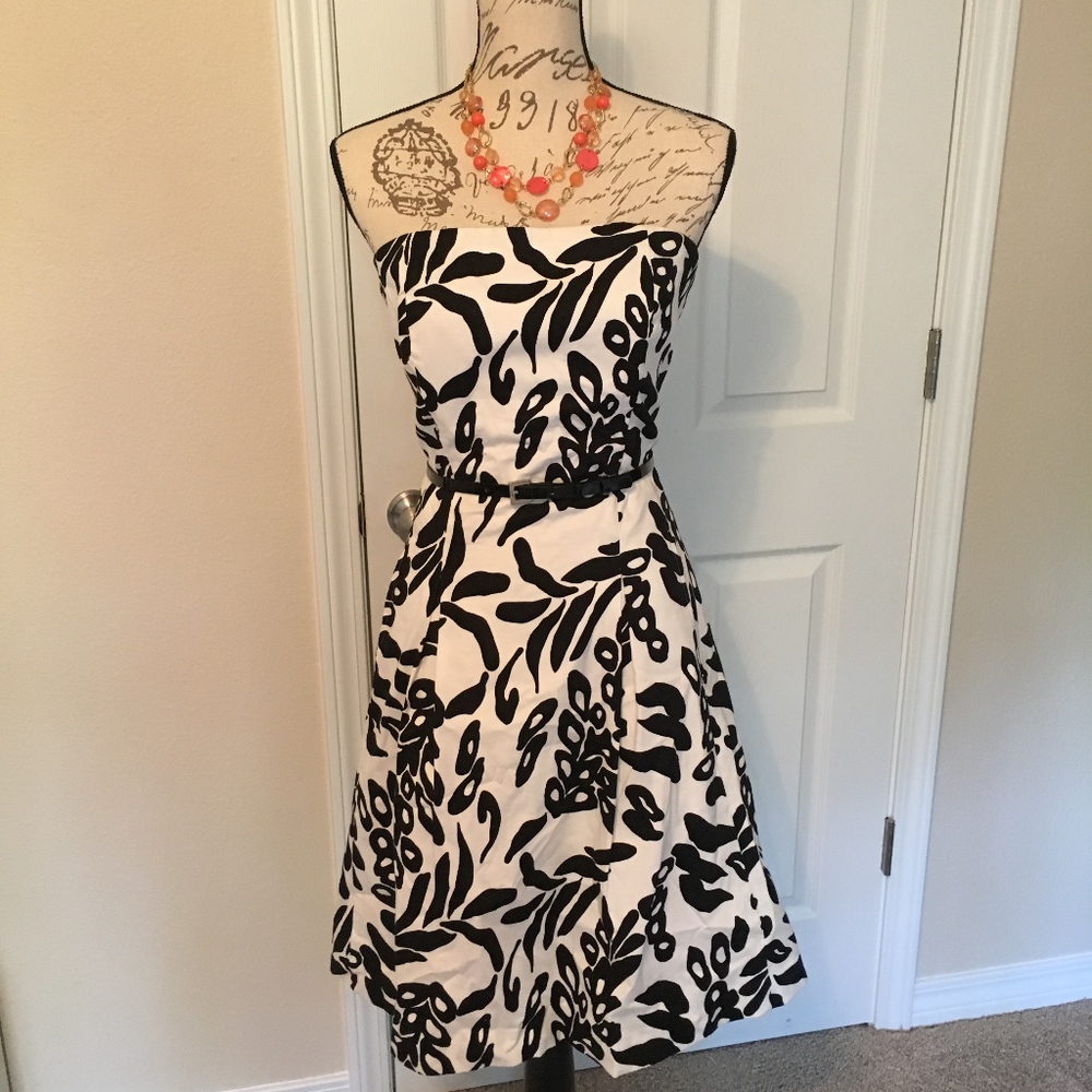 White House Black Market Dress 12